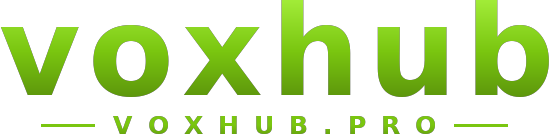 voxhub logo
